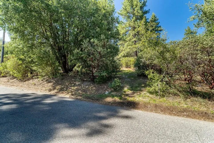 0 Deer Foot Lane, Idyllwild, California 92549 — photo 5