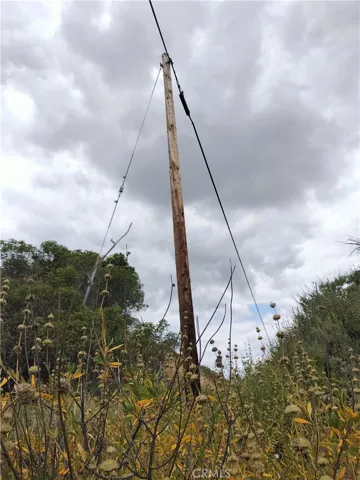 ELECTRIC POST