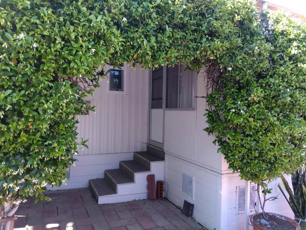 Honeysuckle archway to shaded sitting area