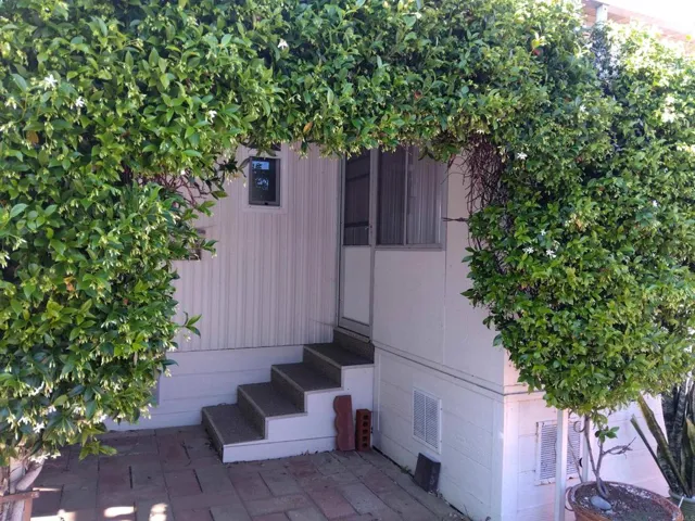 Honeysuckle archway to shaded sitting area