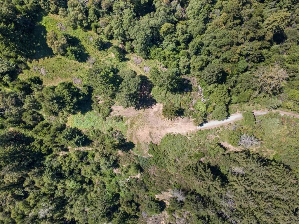 0 Big Basin Way