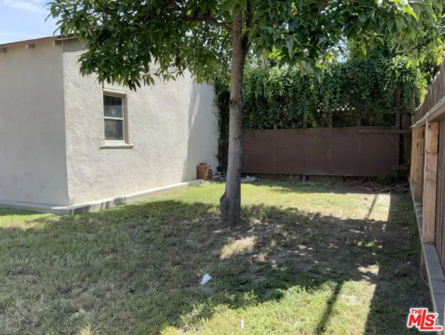 Rear Yard 4