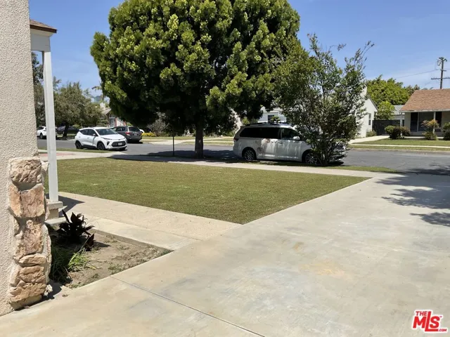 Driveway View