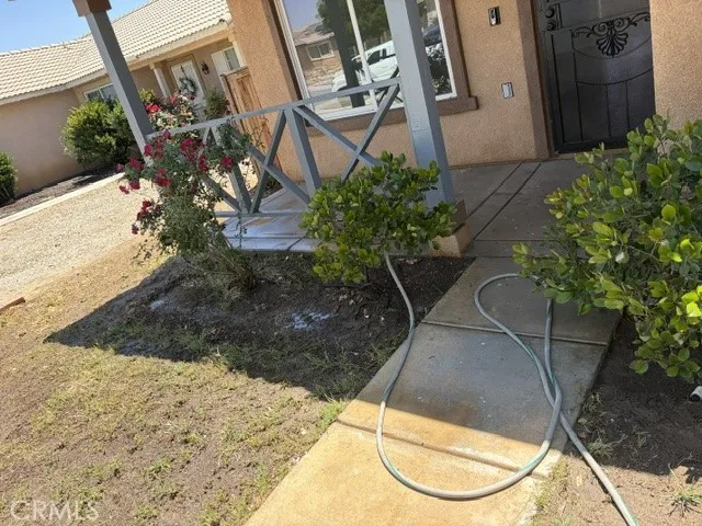 Pathway to front door