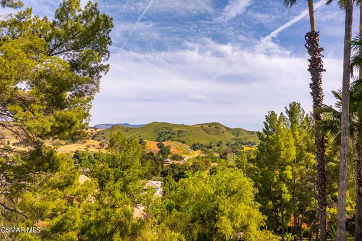6110 Colodny Dr Agoura Hills-157