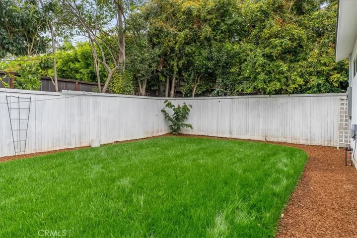 New backyard lawn full of potential for activities