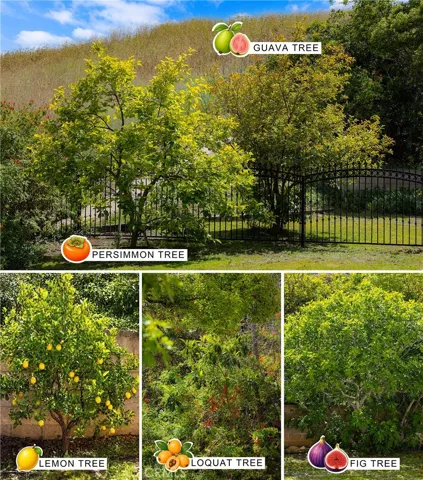 689 Leyland Drive, Diamond Bar, California 91765