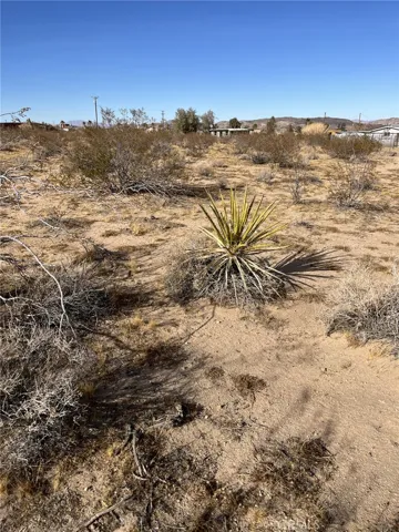 915 Dakota Lane, Landers, California 92285