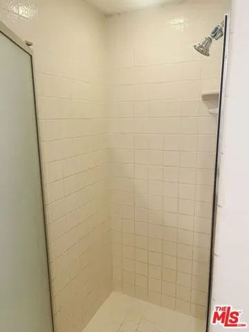 Master Bathroom Shower