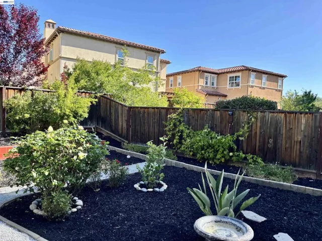 pomegranate, passionfruit vine & cherry tree.