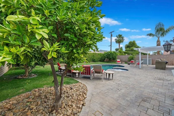 Backyard 3