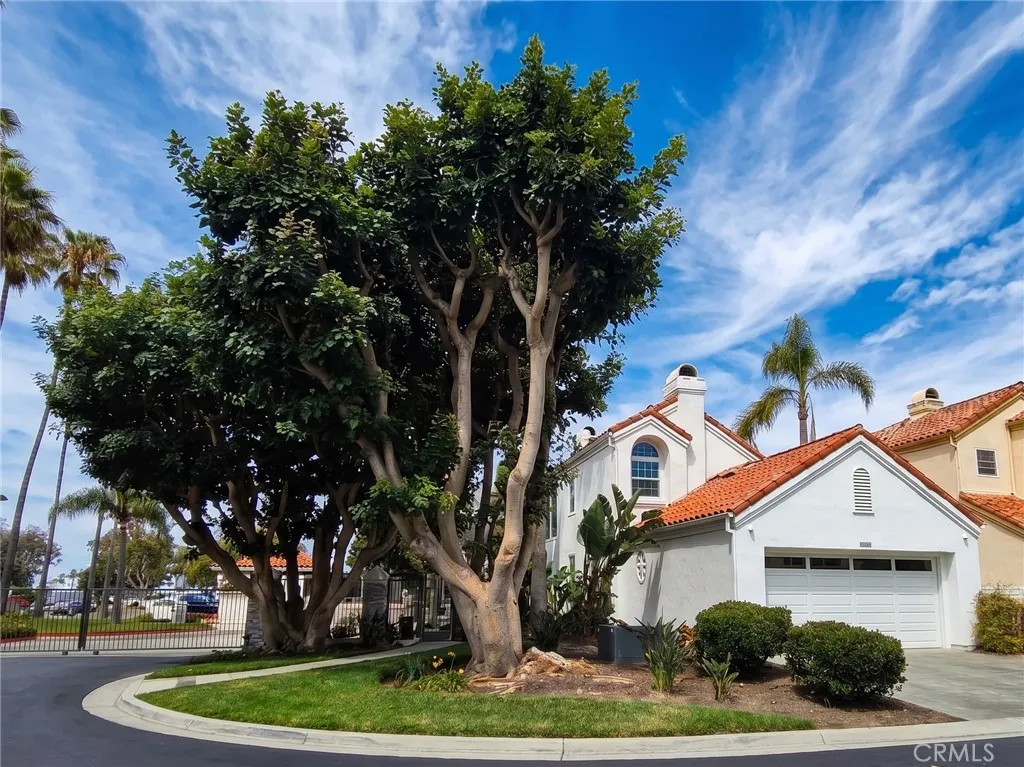 Corner Lot. Only 1 neighbor adjacent!
