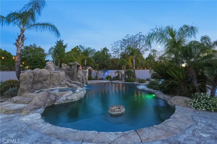 Beautiful pool with slide, lined with palm trees