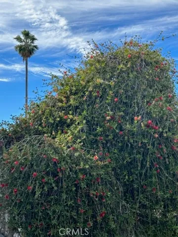 1423 15th Street 5, Santa Monica, California 90404
