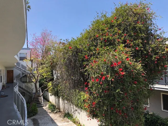 1423 15th Street 5, Santa Monica, California 90404