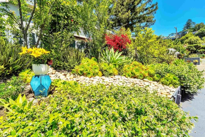 Lush landscaping featuring varied foliage, rock garden elements, and a paved pathway