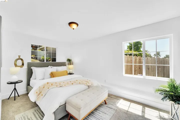Bright room featuring two multi-pane windows, a ceiling-mounted light fixture, and neutral-toned wall-to-wall carpeting