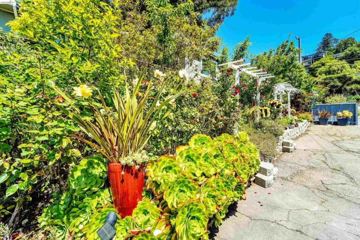 Lush garden landscaping featuring a variety of mature plantings, a red ceramic planter, and concrete block edging