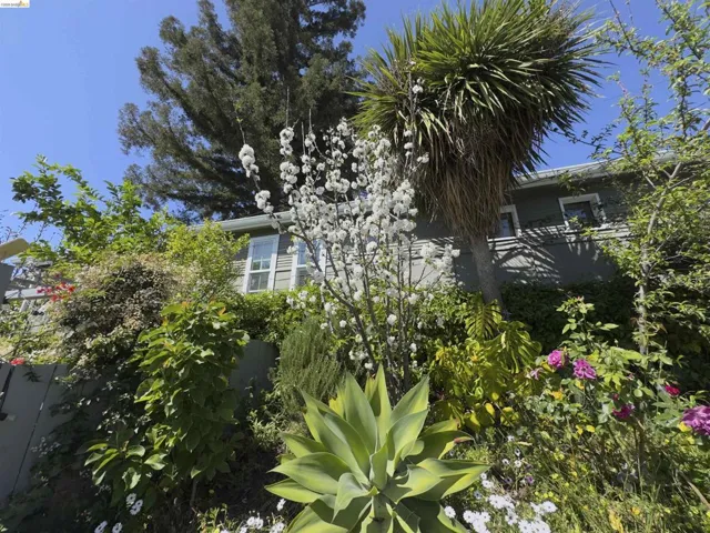 Lush, tiered landscaping featuring a variety of mature plantings, including a flowering tree, agave, and vibrant pink roses