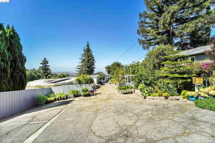Paved driveway bordered by mature trees and lush landscaping