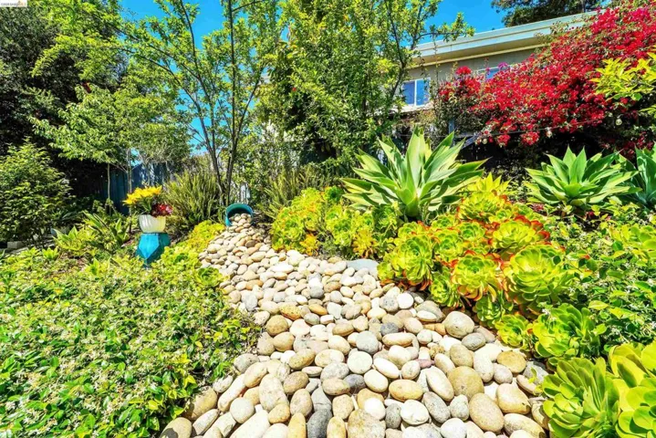 Landscaped hillside featuring a stone dry creek bed, mature trees, vibrant flowering shrubs, and diverse succulent plantings