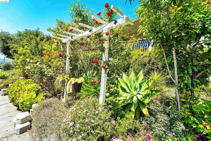 Lush garden area featuring a white wooden pergola adorned with red flowering vines