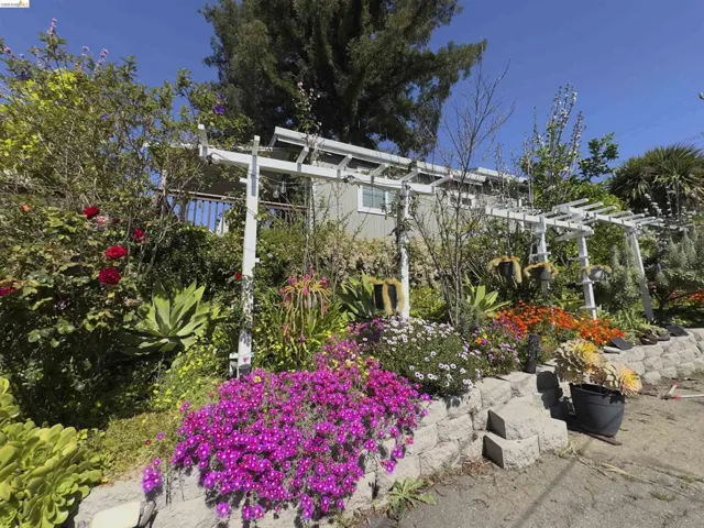 Terraced landscaping showcasing vibrant floral arrangements