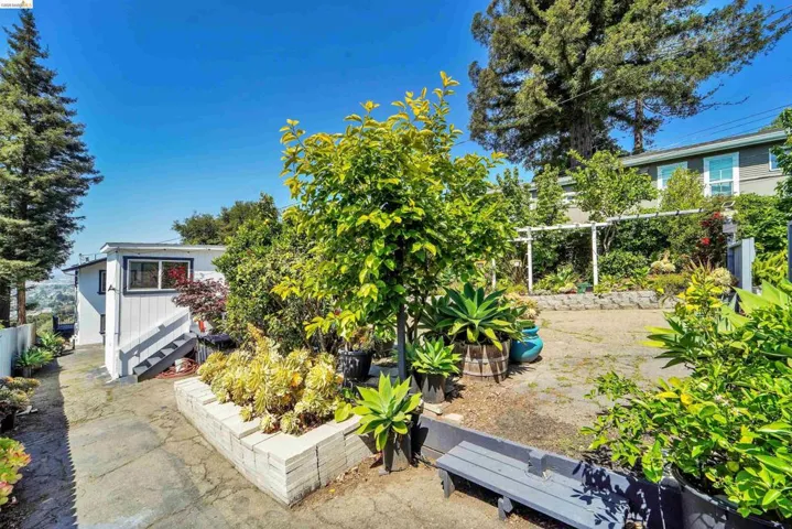 Outdoor area featuring mature trees and established landscaping