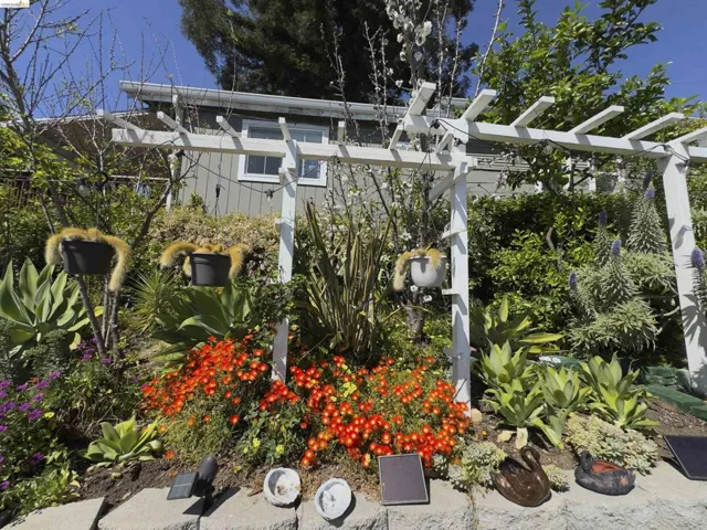 Lush terraced landscaping featuring a white pergola structure, diverse plantings including succulents and flowering shrubs, and integrated solar lighting