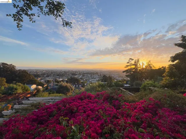 Expansive floral landscaping featuring vibrant magenta blooms