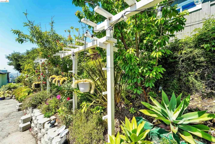 Landscaped garden featuring a white pergola with string lights, varied plantings, mature trees, and a stone retaining wall