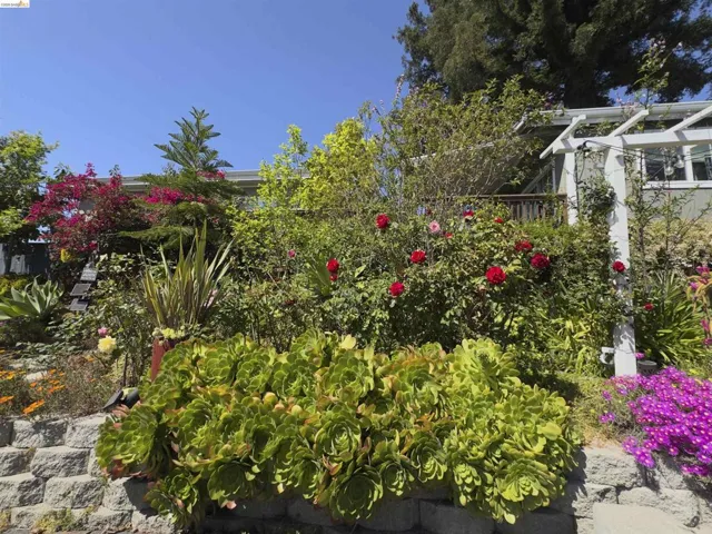 Tiered landscape featuring a stone retaining wall, diverse plantings with mature succulents, and vibrant red and pink flowering shrubs