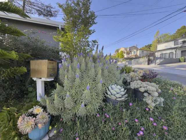 Front yard landscaping featuring a variety of drought-tolerant plants
