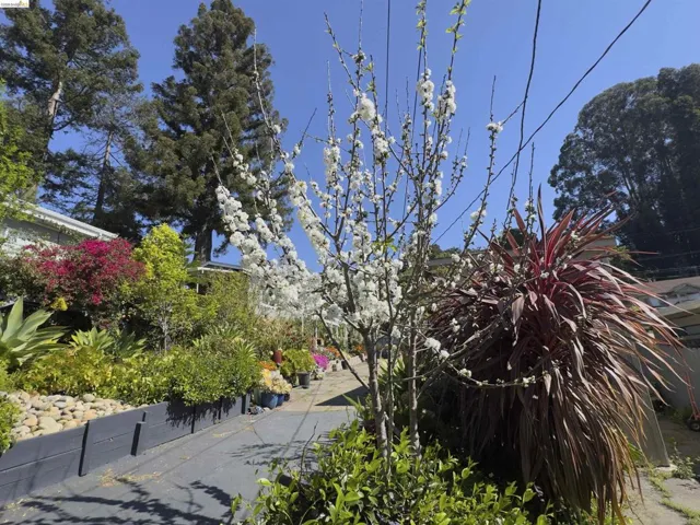 Lush landscaping featuring flowering trees, varied foliage, and vibrant red and pink blossoms