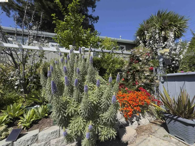 Lush landscaping featuring varied foliage, vibrant flowering plants, a wood trellis, and a stone retaining wall