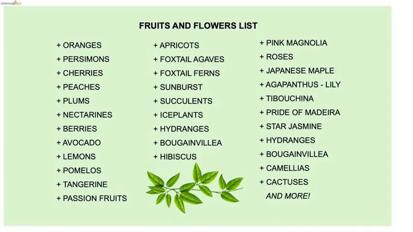 Fruits and Flowers List. Itemizing vegetation present on the property