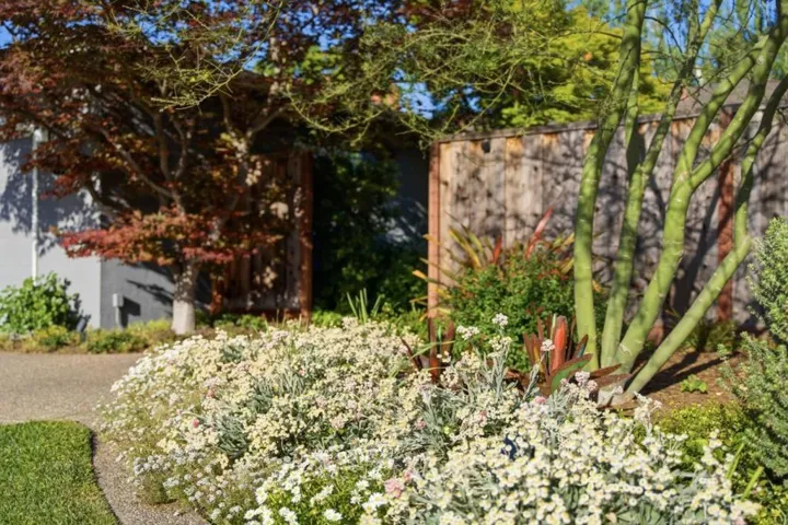 852 Peach Avenue, Sunnyvale, California 94087