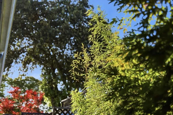 852 Peach Avenue, Sunnyvale, California 94087