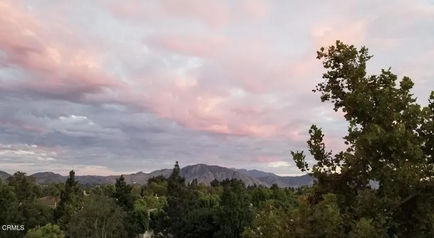 sky1