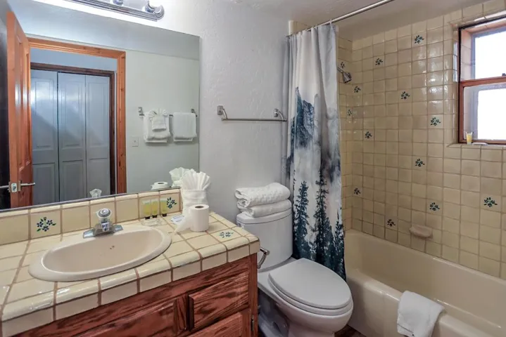 017_Downstairs Bathroom