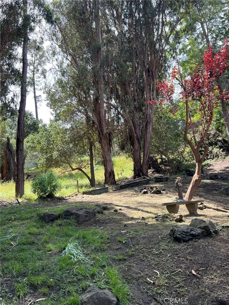 Many places to stop and enjoy this lovely yard