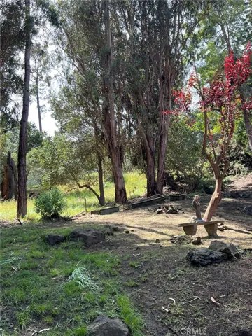 Many places to stop and enjoy this lovely yard