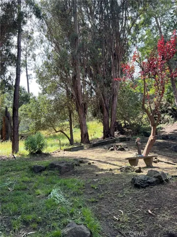 Many places to stop and enjoy this lovely yard