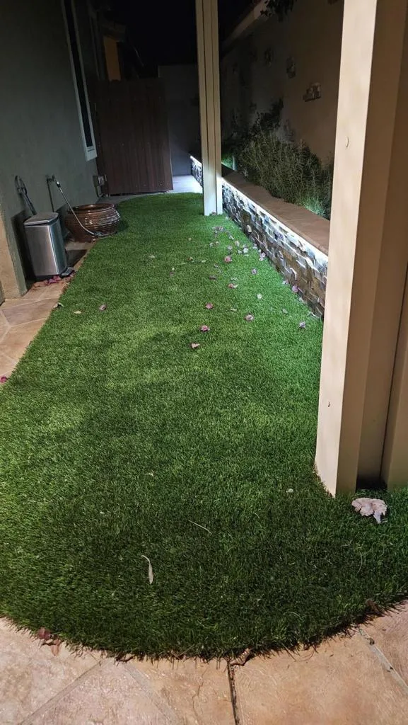 Secured dog run Secured dog run