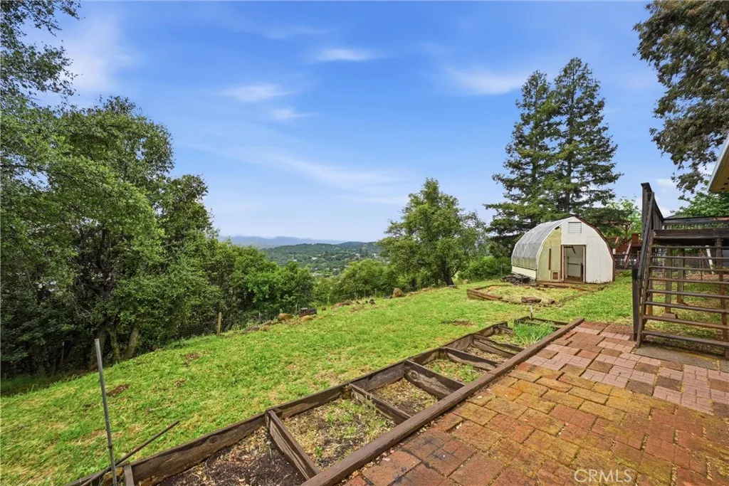 Garden area in back yard.