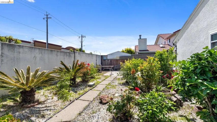 Expansive backyard featuring a concrete pathway, mature shrubs, and established palm plants