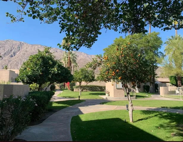views from front entry
