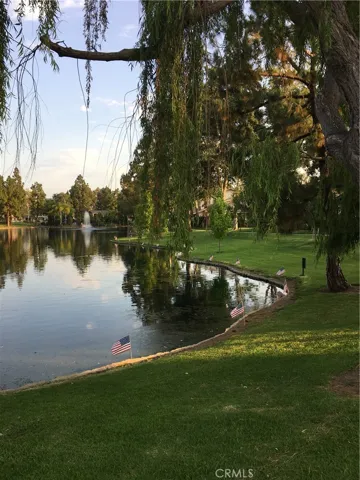 gorgeous lake view