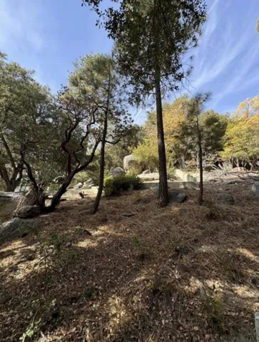 53642 Jeffrey Pine Court, Idyllwild, California 92549 — photo 4