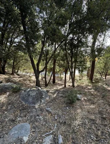 53642 Jeffrey Pine Court, Idyllwild, California 92549 — photo 5